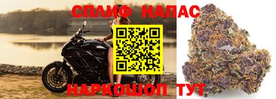 прущие крисы Тара