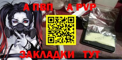 стафф Тверь